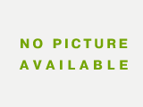Volvo L 90 H MIETE / RENTAL (12005310)